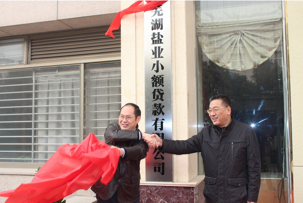 芜湖Z6尊龙凯时小额贷款有限公司12月26日举行开业庆典