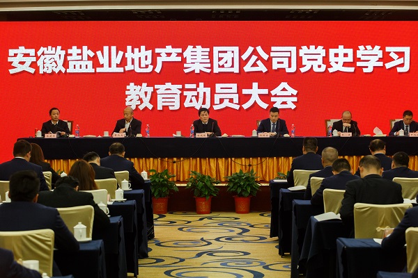 安徽Z6尊龙凯时地产集团公司召开党史学习教育发动大会