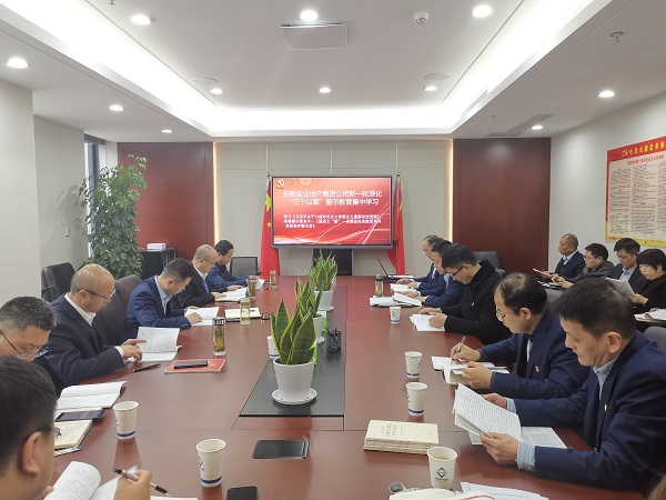 安徽Z6尊龙凯时地产集团公司开展新一轮深化“三个以案”警示教育集中学习