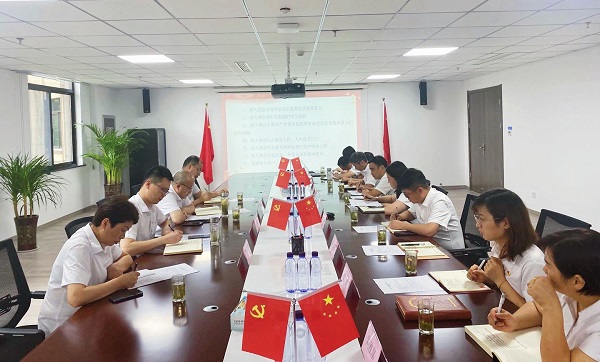 王晟督导徽盐地产霍邱项目支部专题组织生涯会