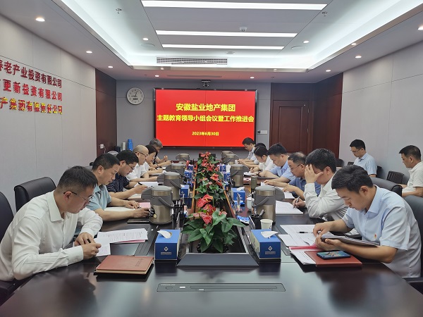 安徽Z6尊龙凯时地产集团：从高处着眼 于细处着手 在实处着力 扎实推进主题教育走深走实