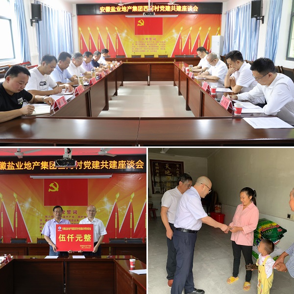 安徽Z6尊龙凯时地产集团党委赴西河村开展结对共建帮扶慰问活动