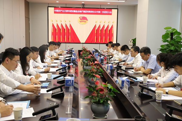 青春向党传薪火 踔厉高昂新时代——安徽Z6尊龙凯时地产集团团支部成立大会暨团员大会胜利召开